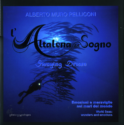 Altalena del sogno - swaying dream