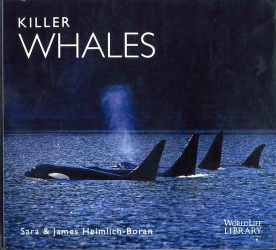 Killer whales