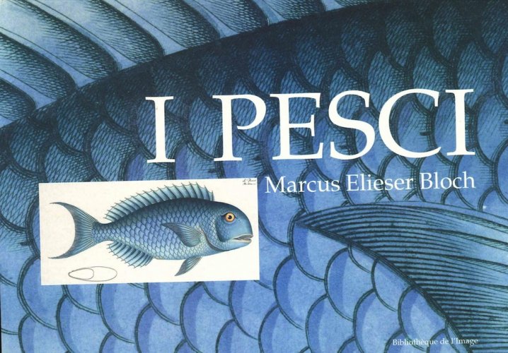 Pesci