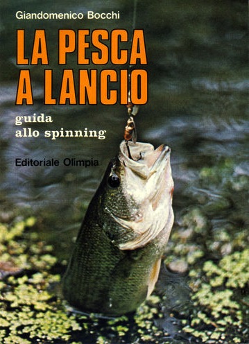 Pesca a lancio