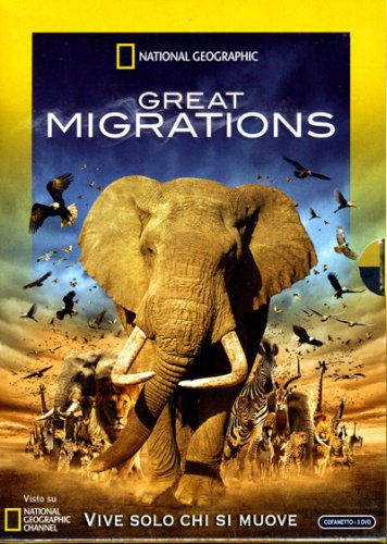 Great migrations - DVD