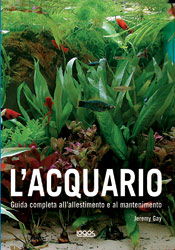 Acquario
