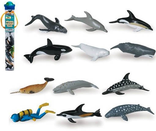 Whales and dolphins toob