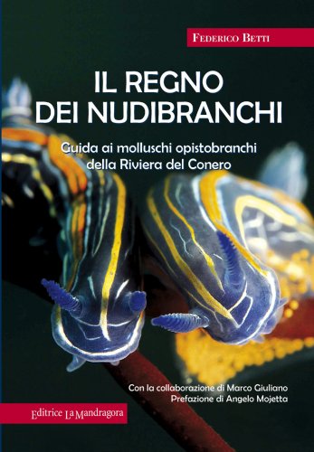 Regno dei nudibranchi