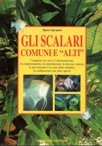 Guida agli scalari comuni e alti