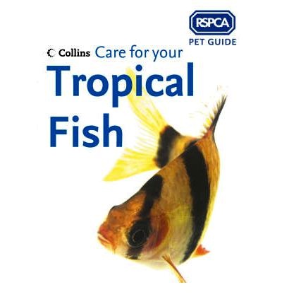 Care for your tropical fish