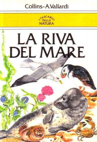 Riva del mare