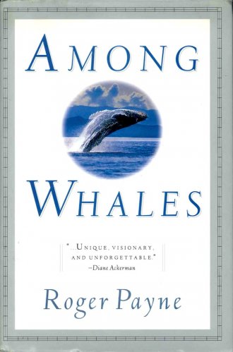 Among whales