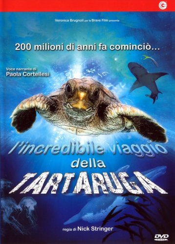 Incredibile viaggio della tartaruga - DVD