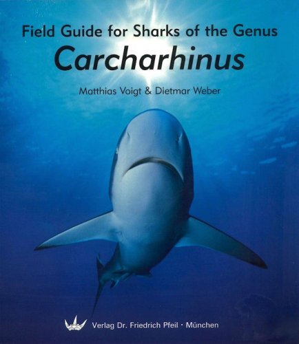 Field guide for sharks of the genus Carcharhinus