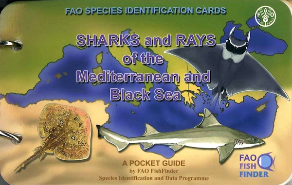 Sharks and rays of the Mediterranean and Black seas