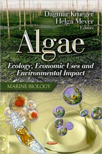 Algae