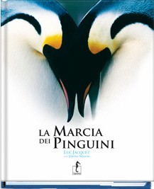Marcia dei pinguini