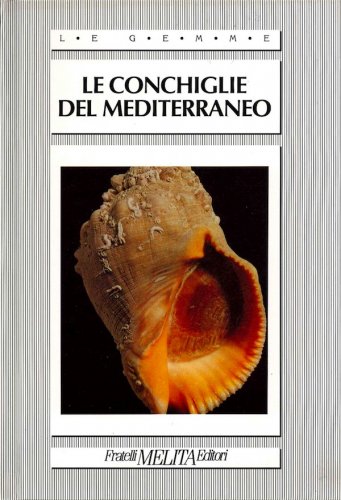 Conchiglie del Mediterraneo