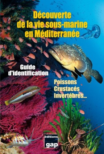 Découverte de la vie sous-marine en Méditerranée