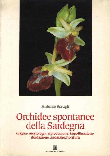Orchidee spontanee della Sardegna