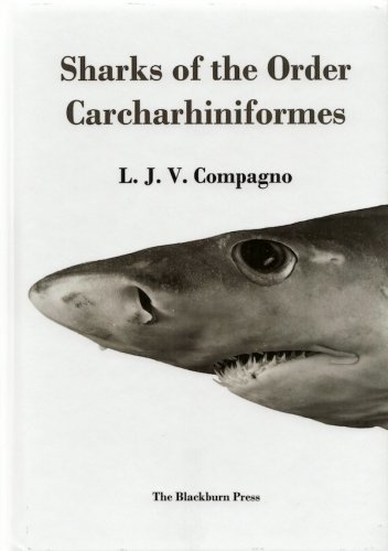 Sharks of the order carcharhiniformes