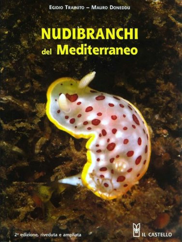 Nudibranchi del Mediterraneo