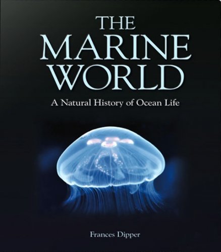 Marine world