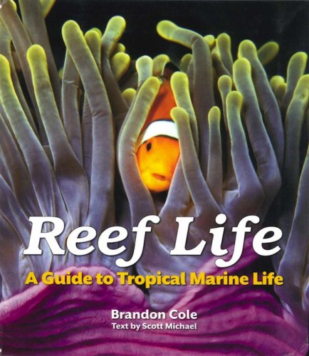 Reef life