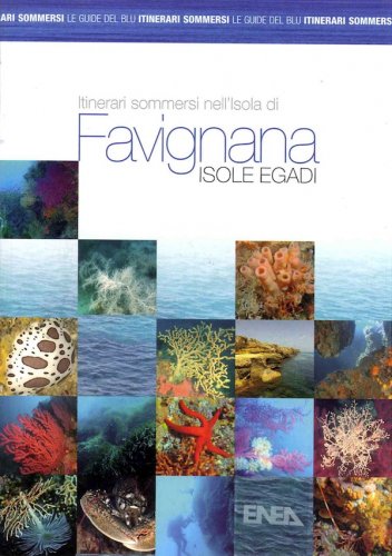 Itinerari sommersi nell'isola di Favignana