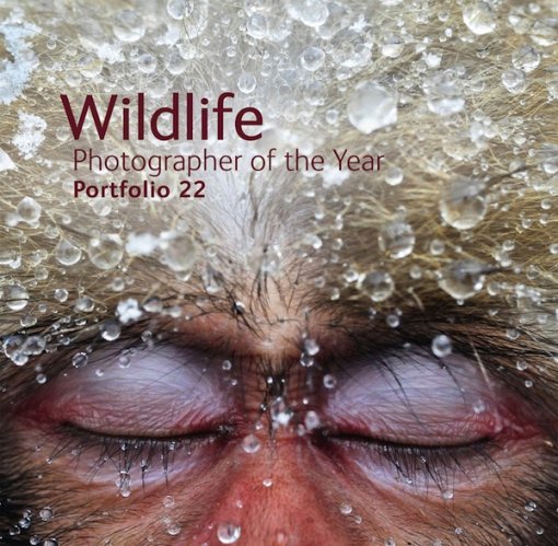 Wildlife photographer of the year - portfolio 22