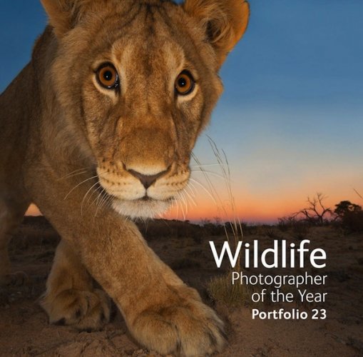 Wildlife photographer of the year - portfolio 23
