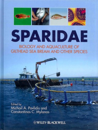 Sparidae