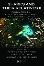 Sharks and their relatives II