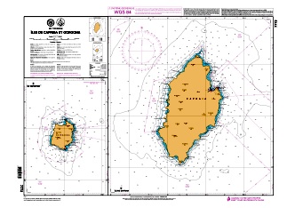Iles Capraia et Gorgona