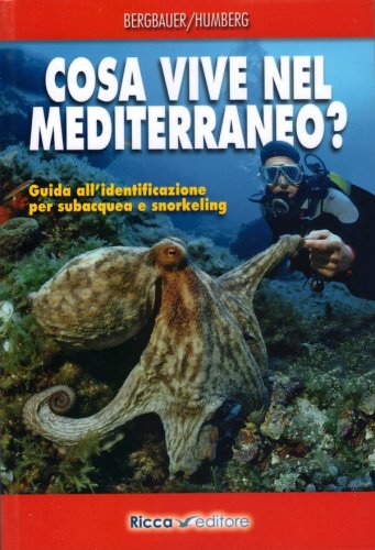 Cosa vive nel Mediterraneo?