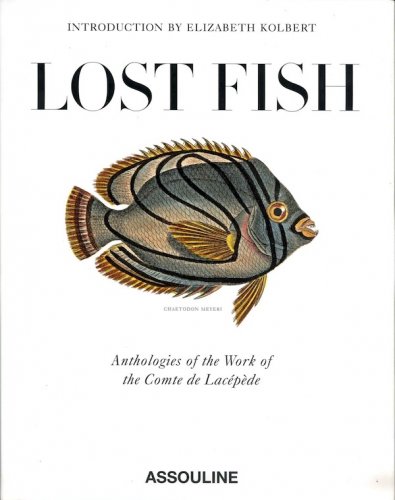 Lost fish
