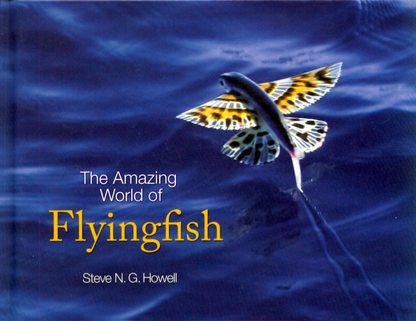 Amazing world of Flyingfish
