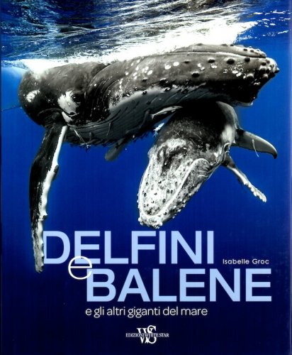 Delfini e balene e gli altri giganti del mare