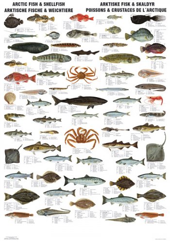 Arctic Fish & Shellfish