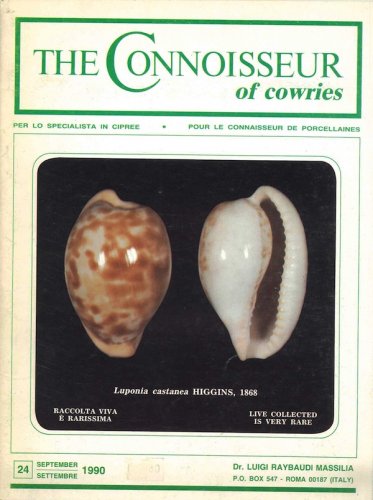 Connoisseur of cowries n.24