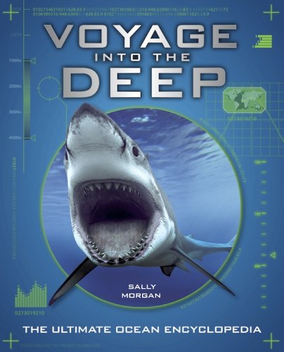 Voyage into the deep