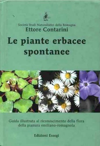 Piante erbacee spontanee