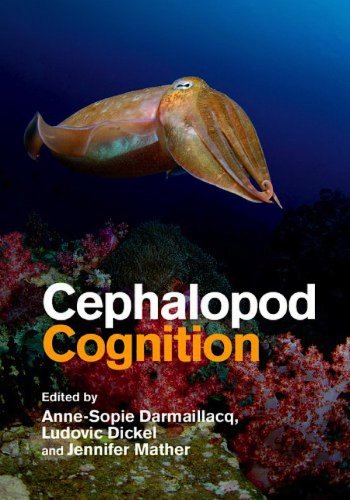 Cephalopod cognition