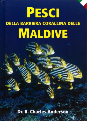 Pesci della barriera corallina delle Maldive