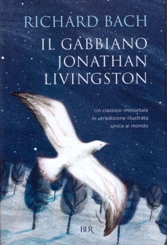 Gabbiano Jonathan Livingston
