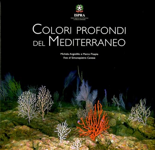 Colori profondi del Mediterraneo