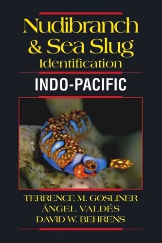 Nudibranch & sea slug identification - Indo-Pacific