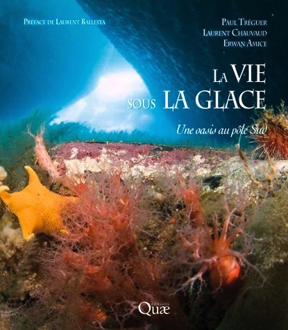 Vie sous la glace