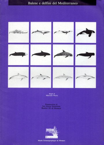 Balene e delfini del Mediterraneo