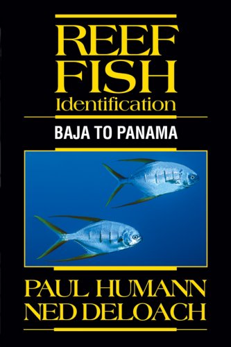 Reef fish identification Baja to Panama