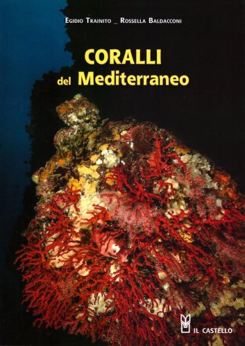 Coralli del Mediterraneo
