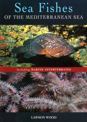 Sea fishes of the Mediterranean sea