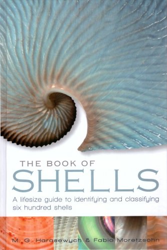 Book of shells