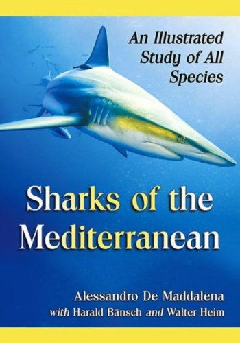 Sharks of the Mediterranean